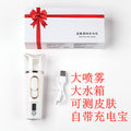 Portable Beauty Device with Skin Hydration Mist